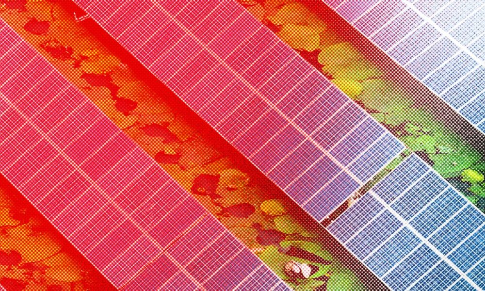 Africa Is Buying a Record Number of Chinese Solar Panels