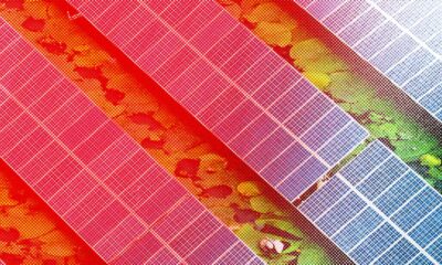 Africa Is Buying a Record Number of Chinese Solar Panels