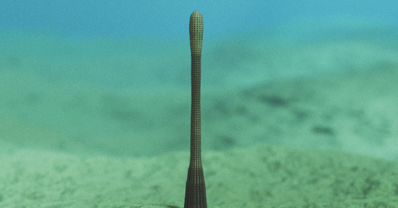 An Ancient Penis Worm With Rings of Sharp Teeth Has Been Discovered in the Grand Canyon An Ancient Penis Worm With Rings of Sharp Teeth Has Been Discovered in the Grand Canyon