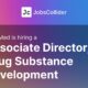 Associate Director, Drug Substance Development at MindMed – Worldwide