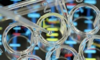 Biotech beauty company Debut raises  million