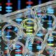 Biotech beauty company Debut raises  million