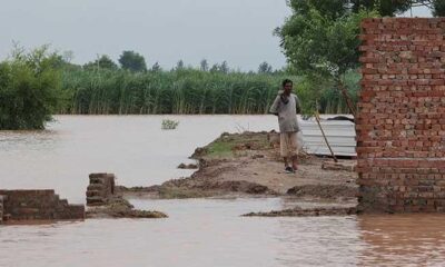 Body set up to develop strategies to boost resilience against extreme weather events