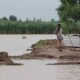 Body set up to develop strategies to boost resilience against extreme weather events