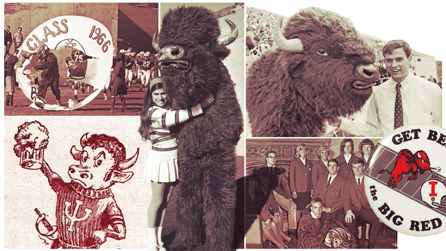 Bring back the bison: How an on-campus movement resurrected Indiana’s mascot after 50 years