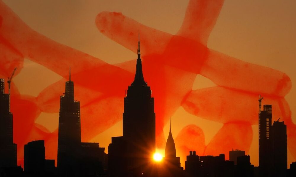 Climate Change Is Bringing Legionnaire’s Disease to a Town Near You