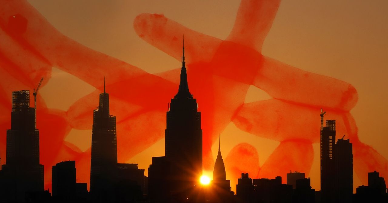 Climate Change Is Bringing Legionnaire’s Disease to a Town Near You Climate Change Is Bringing Legionnaire’s Disease to a Town Near You