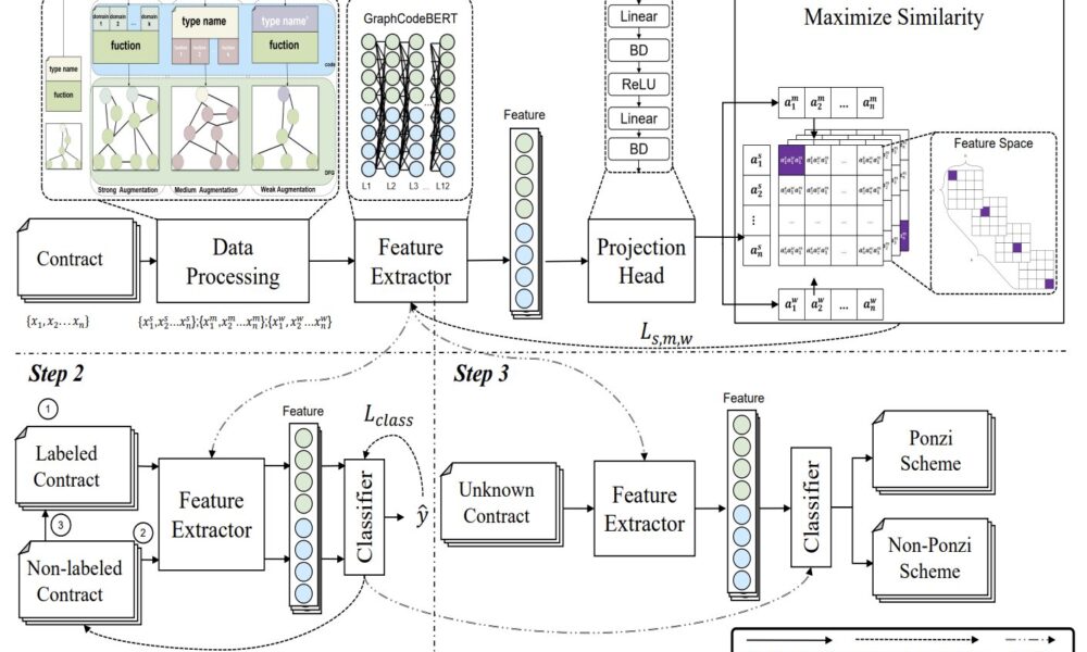 Contrastive learning framework can detect blockchain-based smart Ponzi schemes