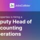 Deputy Head of Accounting Operations at BH Properties – Worldwide