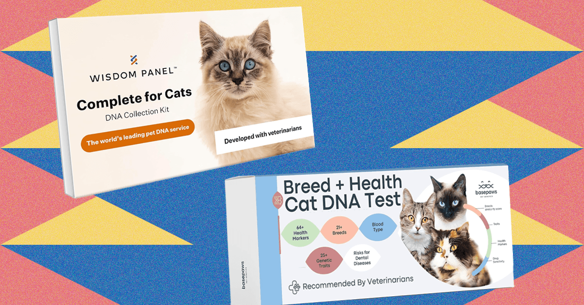 I Tried the Best At-Home Pet DNA Test Kits on My Two Cats I Tried the Best At-Home Pet DNA Test Kits on My Two Cats