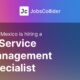 IT Service Management Specialist at Alten Mexico – Mexico