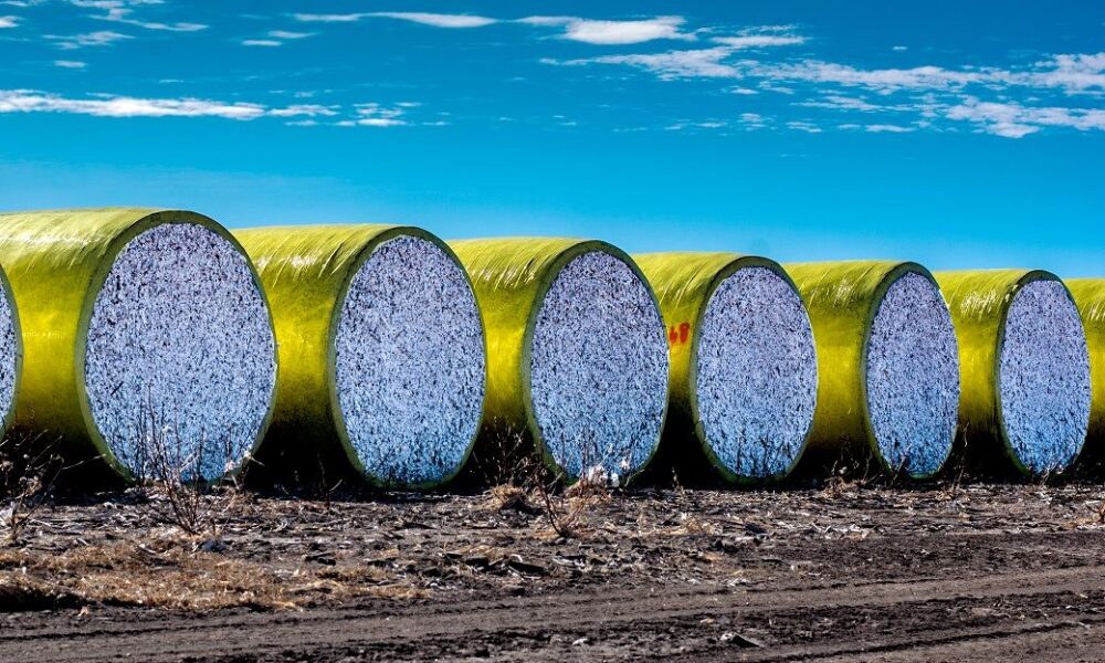 Iran’s cotton imports from Tajikistan up 22.59% to .674 mn in H1