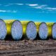 Iran’s cotton imports from Tajikistan up 22.59% to .674 mn in H1