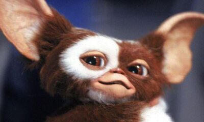 Major update on ‘Gremlins 3’ revealed