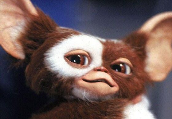 Major update on ‘Gremlins 3’ revealed