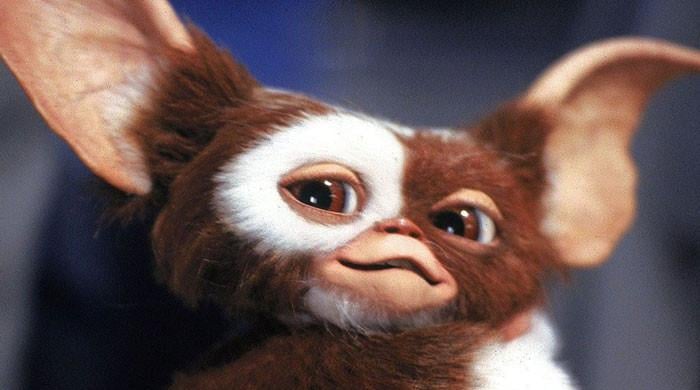 Major update on ‘Gremlins 3’ revealed Major update on ‘Gremlins 3’ revealed