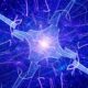Microsoft starts including PQC algorithms in cyber foundations | Computer Weekly