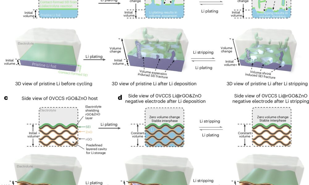 Nanoengineered electrode material boosts cycling and efficiency in Li-metal batteries