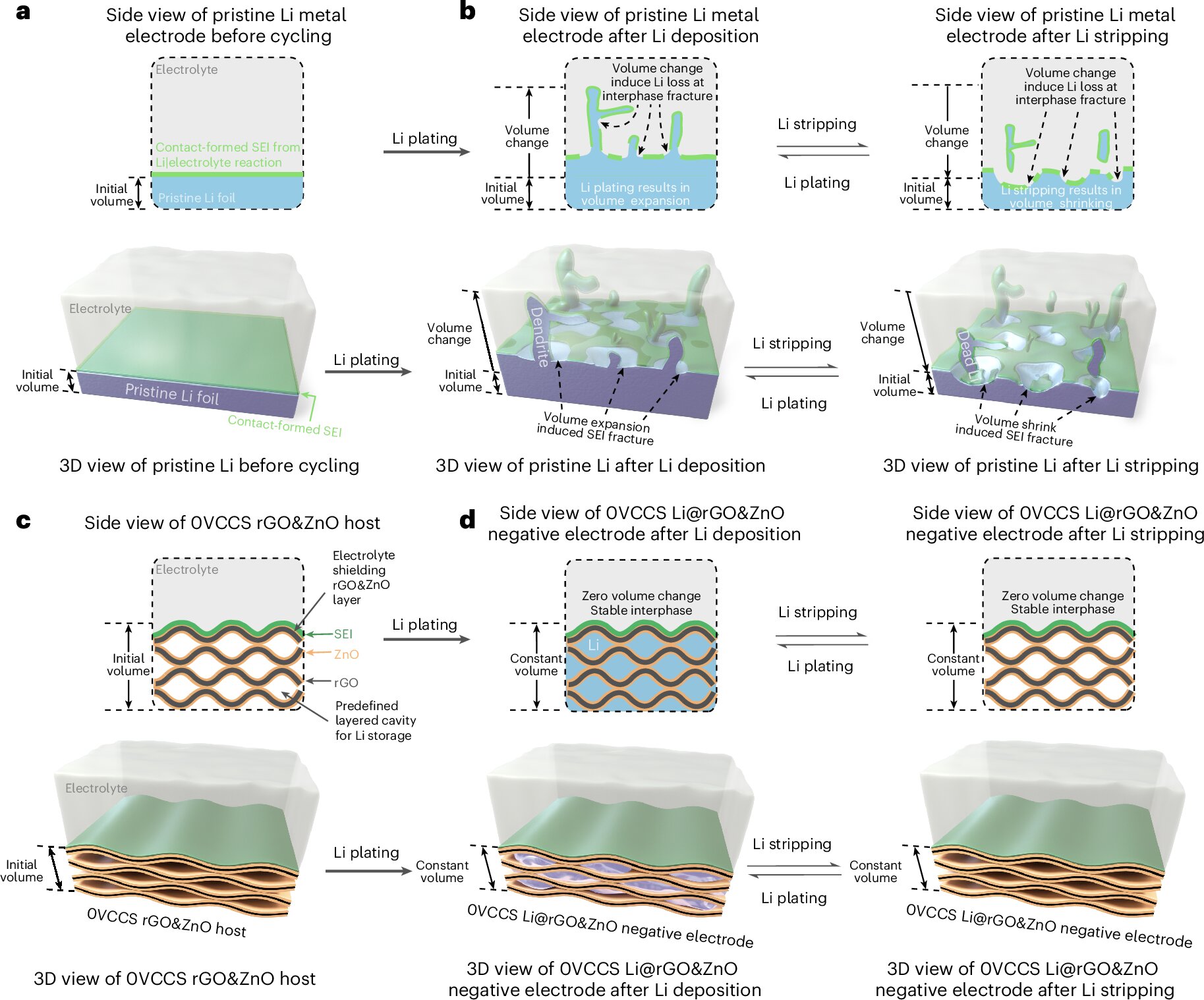 Nanoengineered electrode material boosts cycling and efficiency in Li-metal batteries Nanoengineered electrode material boosts cycling and efficiency in Li-metal batteries