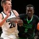 Omaha forward Mayar dies in drowning incident