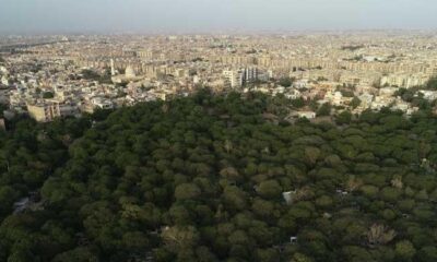 Pakistan reaches critical environmental tipping point as forest cover shrinks by 18%