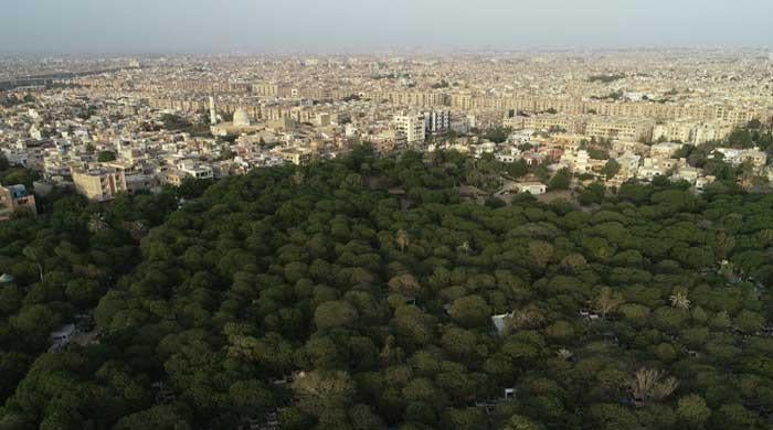 Pakistan reaches critical environmental tipping point as forest cover shrinks by 18%