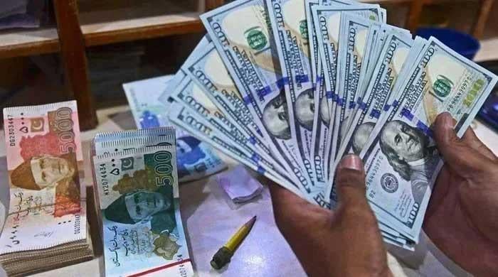 Pakistan’s external liabilities stands at 0bn, dollar amounts to 58% of total debt