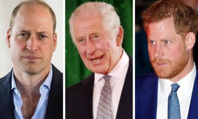 Prince William’s take on King Charles peace talks come to light
