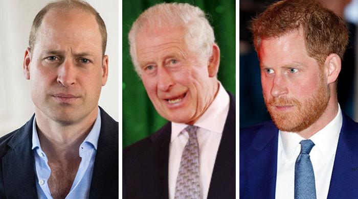 Prince William’s take on King Charles peace talks come to light Prince William’s take on King Charles peace talks come to light