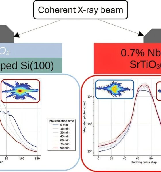 Real-time technique directly images material failure in 3D to improve nuclear reactor safety and longevity