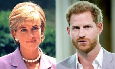 Royal Expert reveals truth about Prince Harry’s rumoured Diana documentary