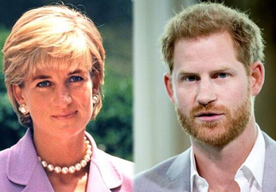 Royal Expert reveals truth about Prince Harry’s rumoured Diana documentary