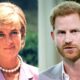 Royal Expert reveals truth about Prince Harry’s rumoured Diana documentary