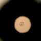 Scientists Just Caught Human Embryo Implantation on Camera