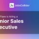 Senior Sales Executive at LotusFlare – Worldwide