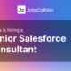 Senior Salesforce Consultant at Fionta – Worldwide