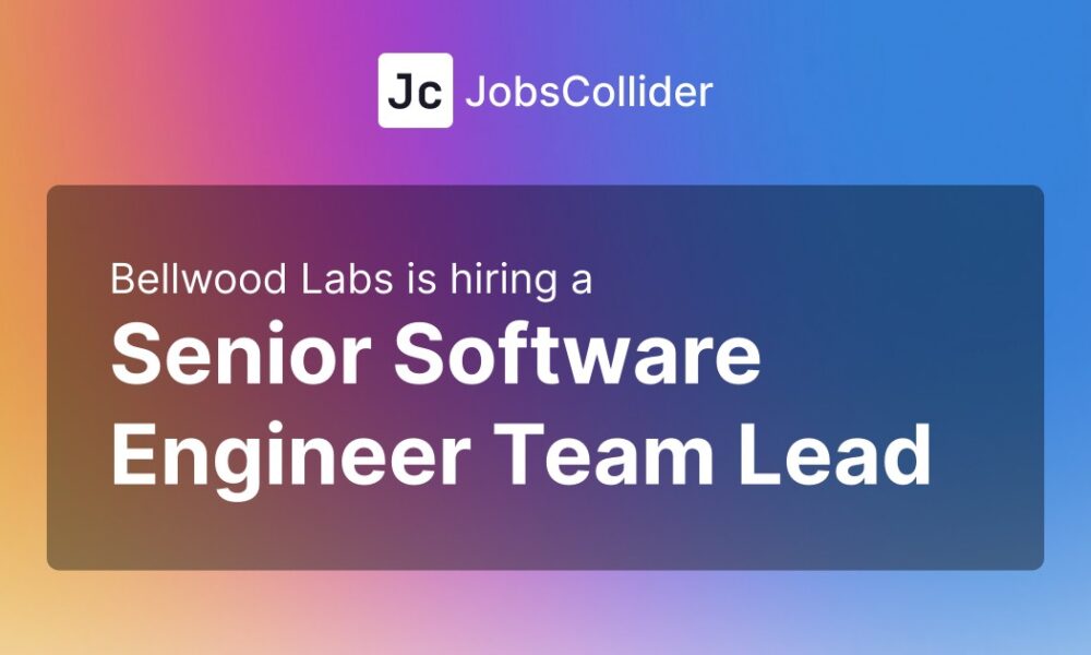 Senior Software Engineer Team Lead at Bellwood Labs – Worldwide
