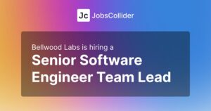 Senior Software Engineer Team Lead at Bellwood Labs - Worldwide