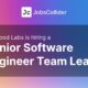 Senior Software Engineer Team Lead at Bellwood Labs – Worldwide