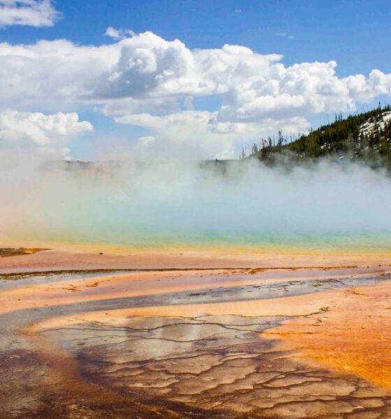 These Newly Discovered Cells Breathe in Two Ways