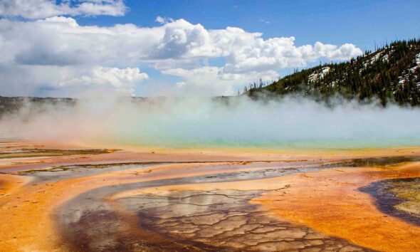 These Newly Discovered Cells Breathe in Two Ways