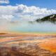 These Newly Discovered Cells Breathe in Two Ways