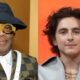 Timothee Chalamet to team up with director Spike Lee for new movie?