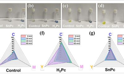 Tin-based perovskite and organic additives boost memory for devices