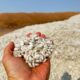 US researchers replace harmful chemicals with eco-friendly cottonseed