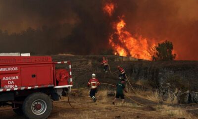 Wildfires fanned by heatwave, strong winds rage across Europe