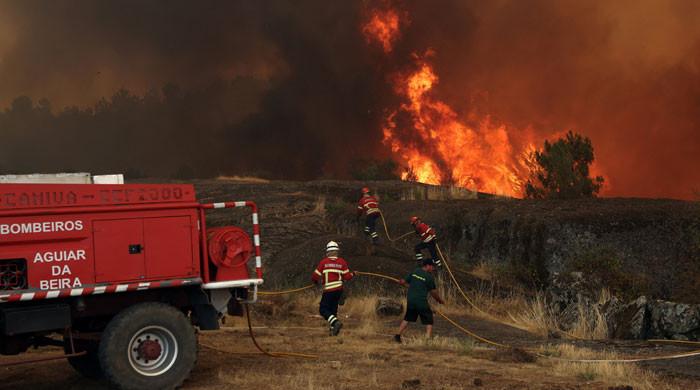 Wildfires fanned by heatwave, strong winds rage across Europe