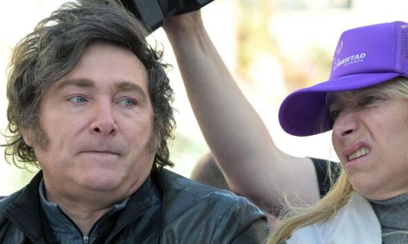 Argentina’s Milei pelted with stones on campaign trail