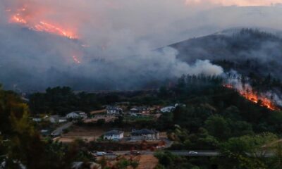 Spain Faces Historic Wildfires Amid Growing Climate Change Impact
