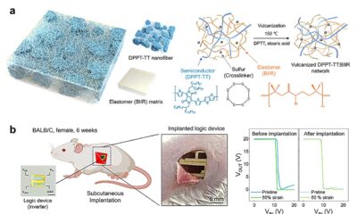 A biocompatible and stretchable transistor for implantable devices